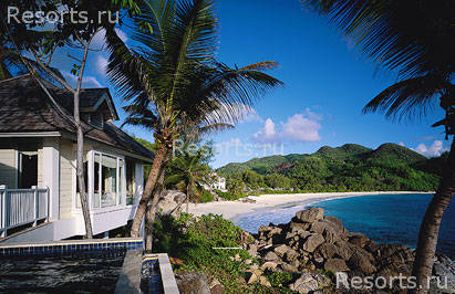 Banyan Tree Deluxe 23